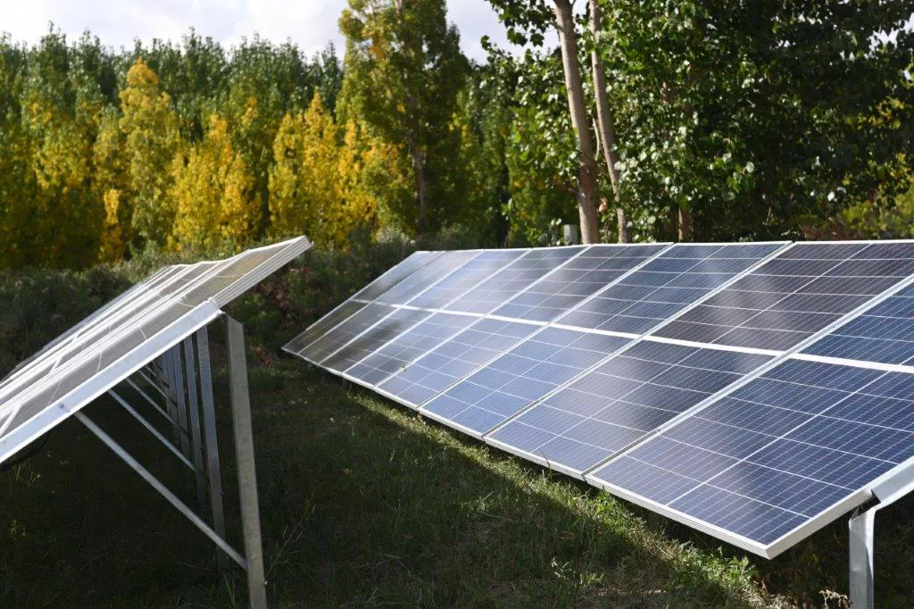 WhatsApp Image 2023-04-14 at 16.37.57 (1)