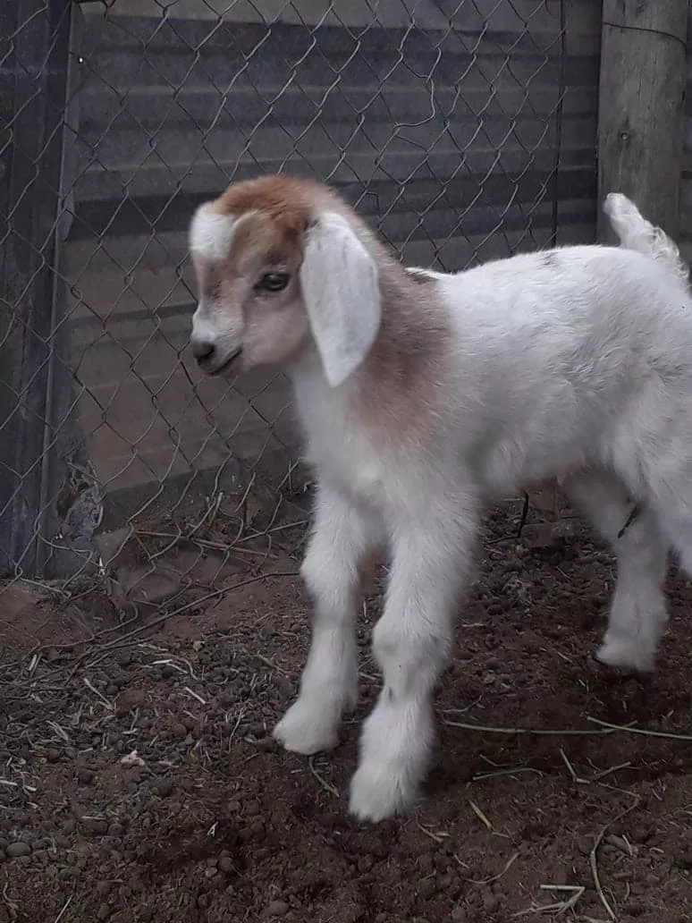 283955138_5535036173202654_8553751344215339827_n