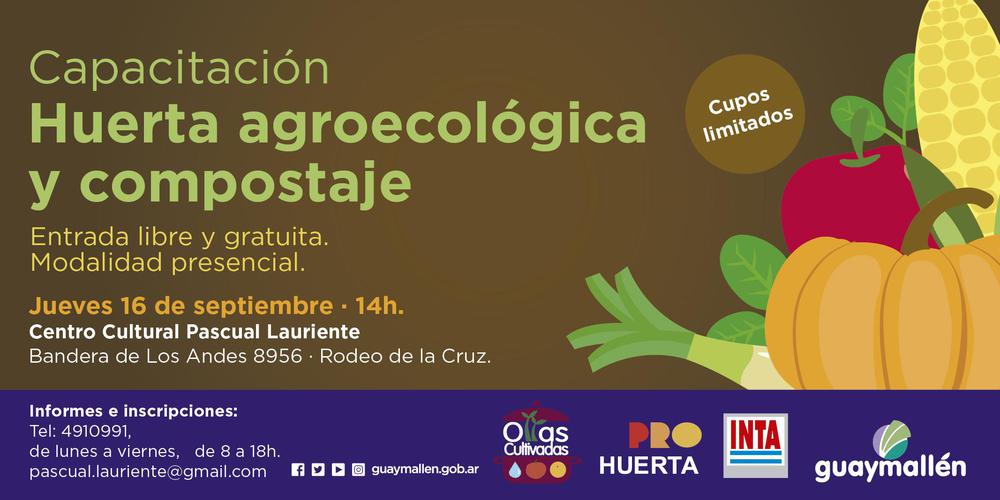 Capacitación (placa)