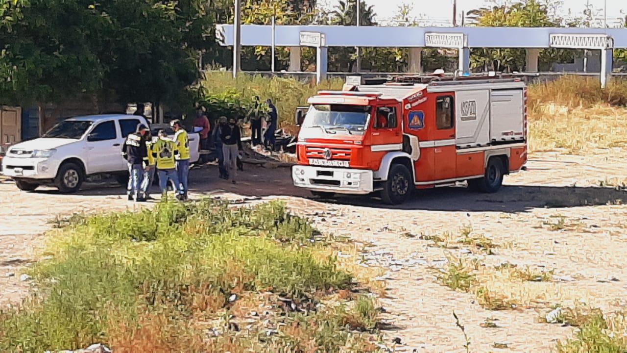 Rastrillaje Abigail Carniel