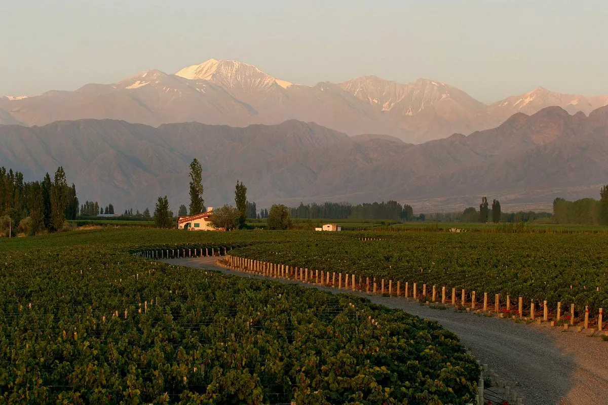 bodega-luigi-bosca-familia
