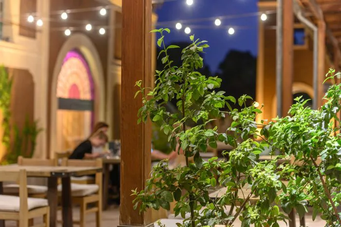 Abrasado-1-3-700x467