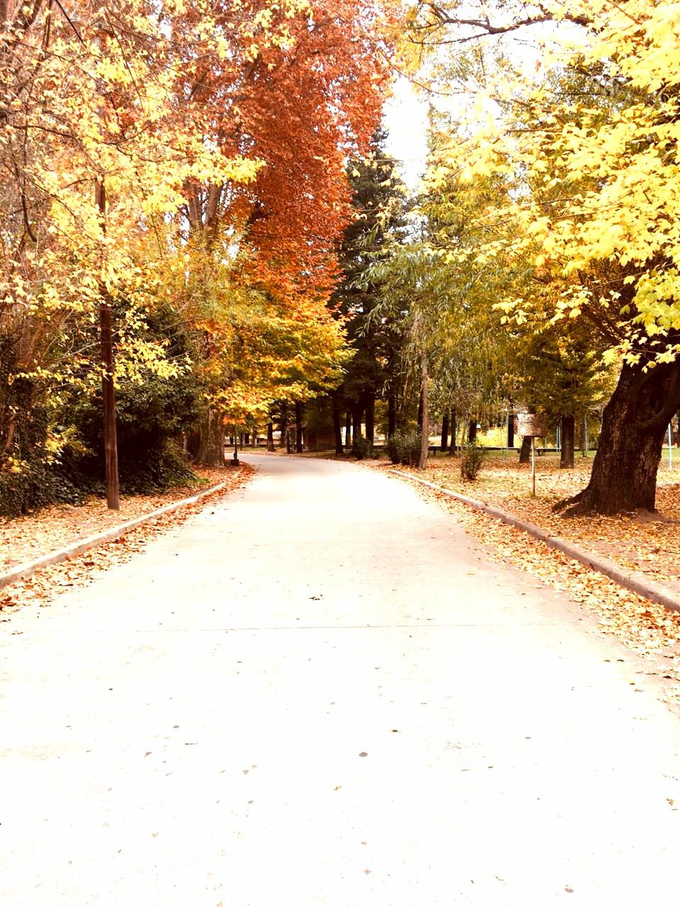 El Trapiche (San Luis)