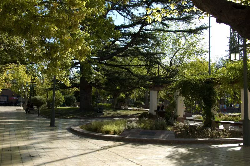 galeria7-foto66-_DSC1251