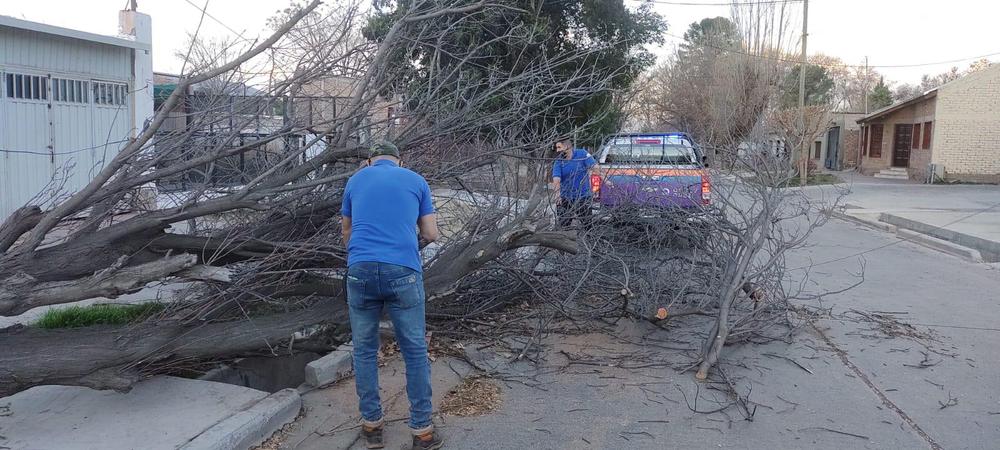 trabajo-municipal-zonda