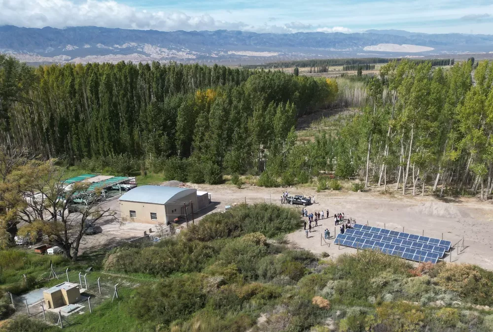 WhatsApp Image 2023-04-14 at 16.37.57