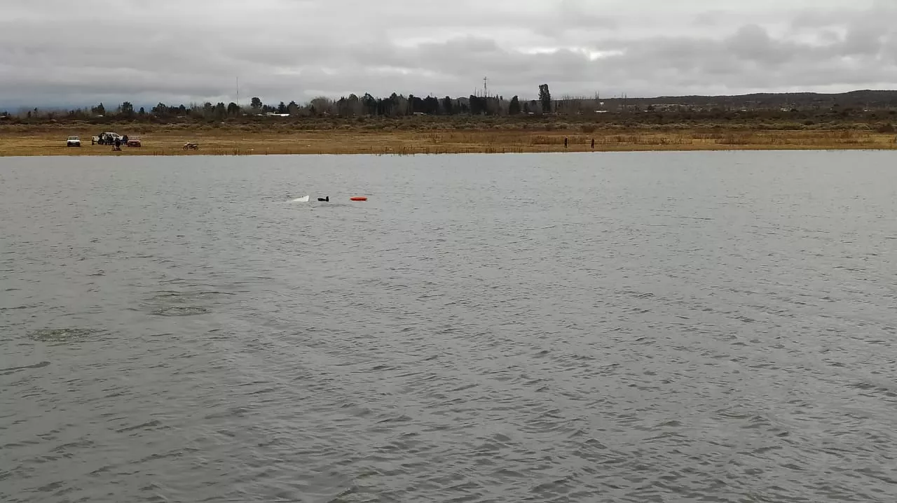 WhatsApp Image 2022-08-07 at 19.58.45