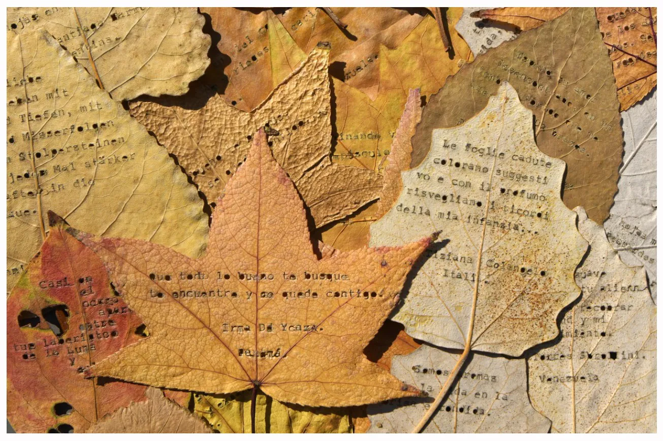 WhatsApp Image 2023-11-13 at 13.42.59