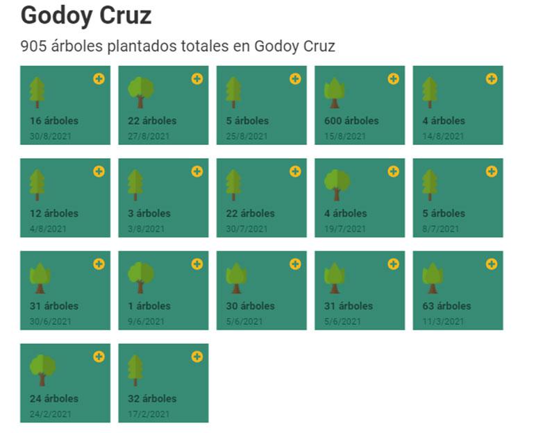 arboles-plantados-en-godoy-cruz