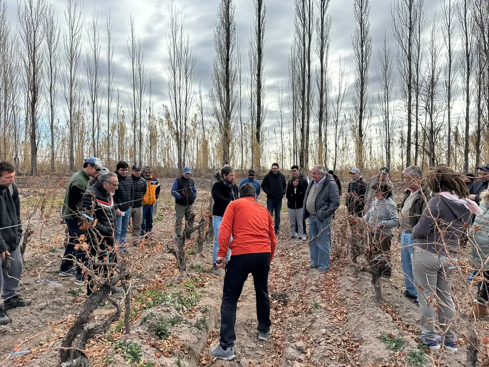 asoc de viñateros sr (3)