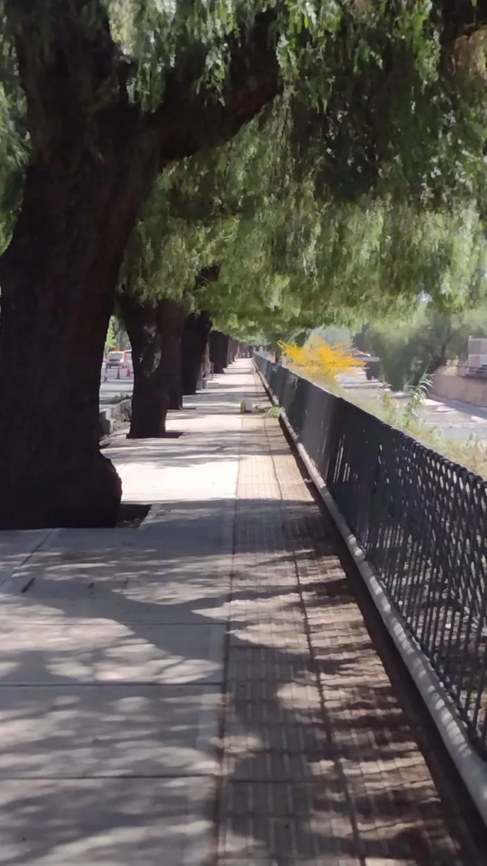 WhatsApp-Image-2022-11-09-at-11.25.33-1-700x1244