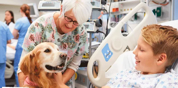 terapias-asistidas-con-animales 2