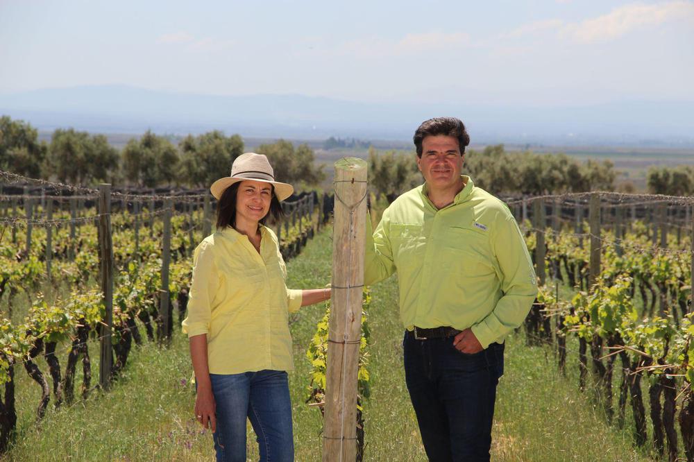 Gabriela-Celeste-y-Marcelo-Canatella-dos-referentes-de-la-vitivinicultura-argentina