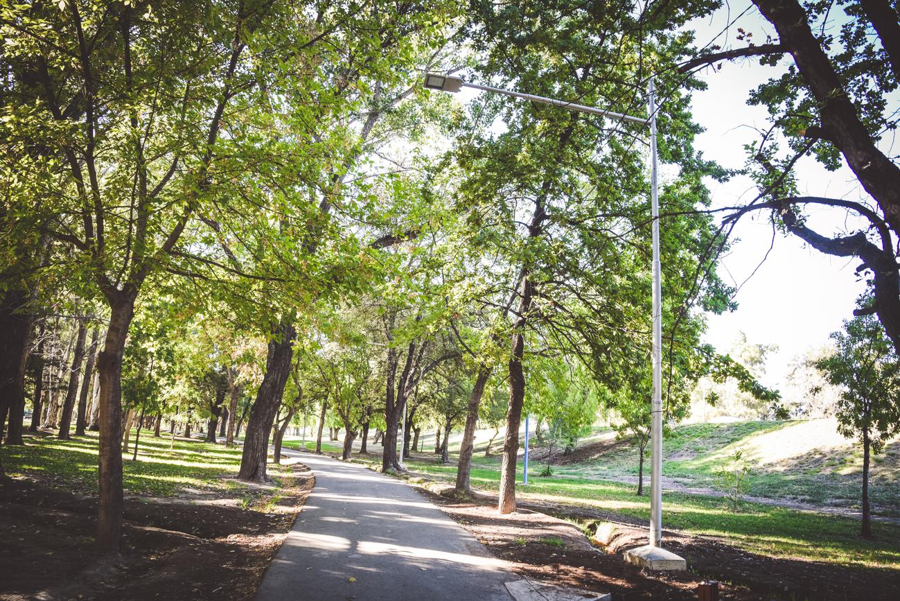 Parque del Acceso Este (6)