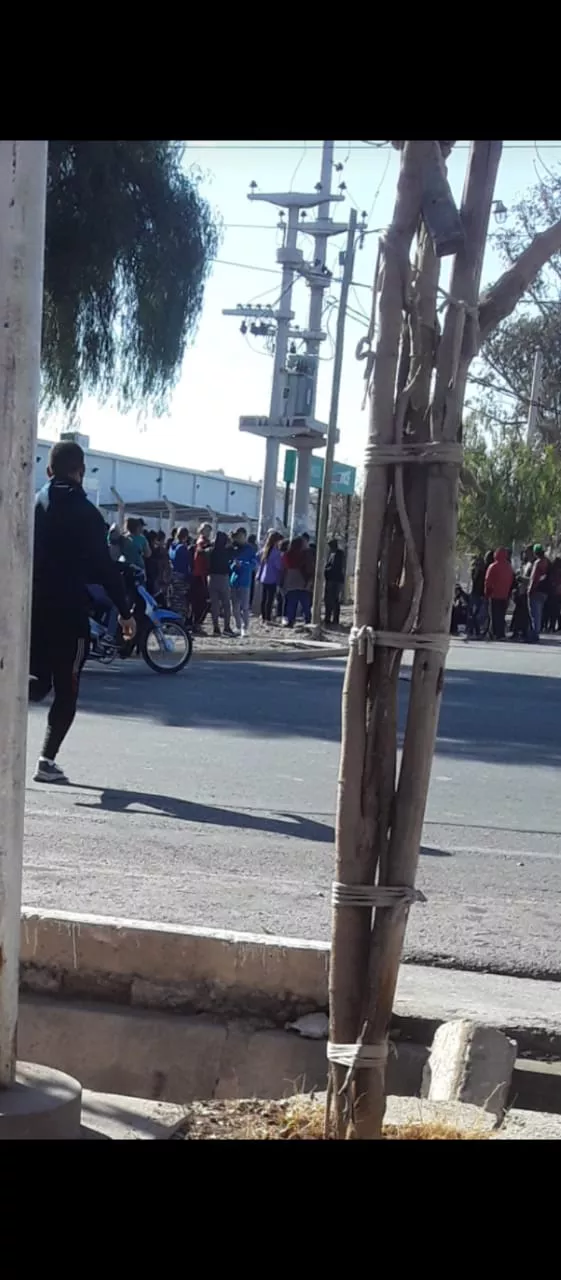 WhatsApp Image 2022-07-30 at 17.48.15