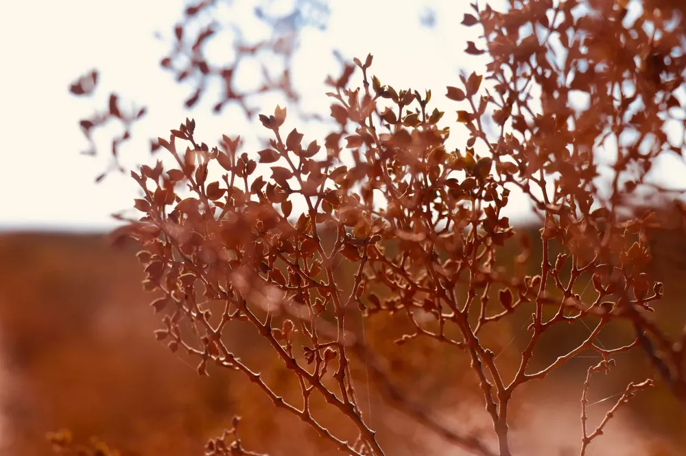 Segundo-Puesto-1-1536x1024