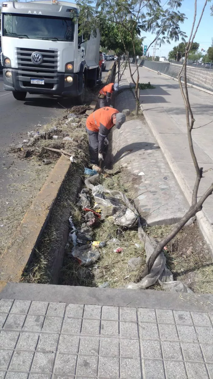 WhatsApp-Image-2022-11-09-at-11.25.32-700x1244