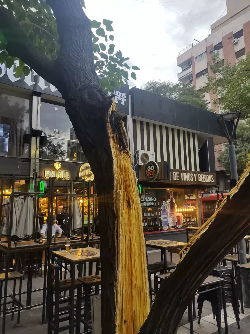 WhatsApp Image 2023-01-16 at 14.07.21