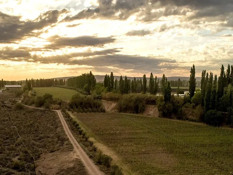 bodega achaval ferrer