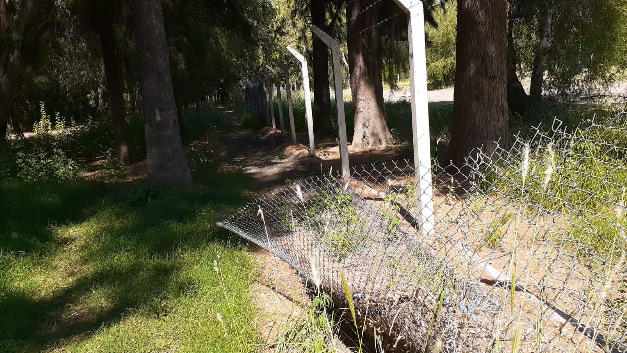 alambrados rotos en el Malvinas 1