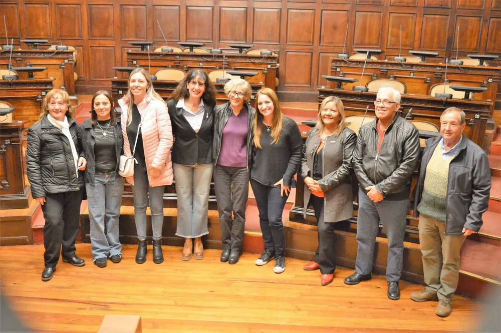 Hockey sobre patines, distinción parlamentaria