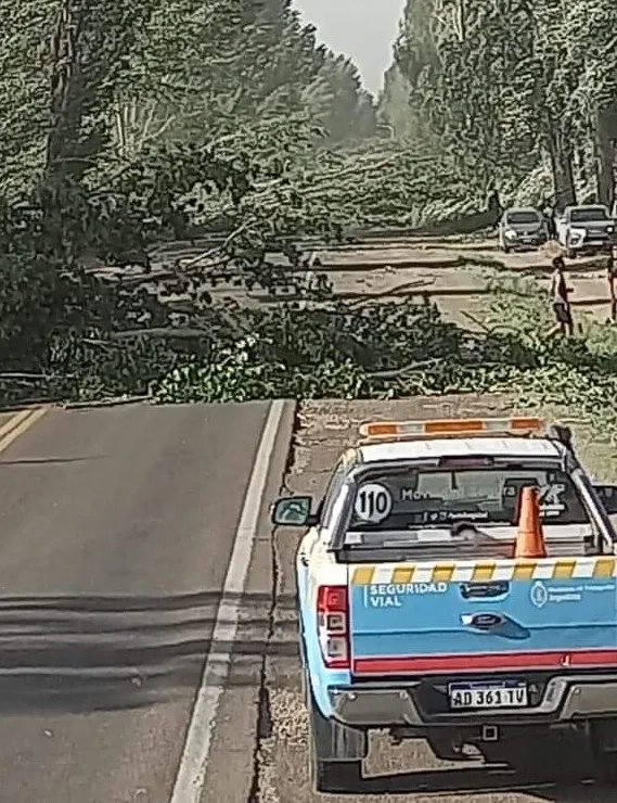 zonda en san carlos 4