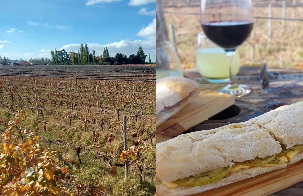 comida_bodega_gieco