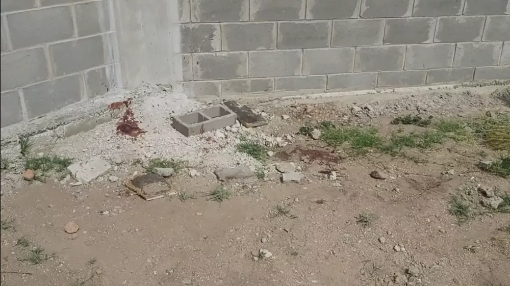 Screenshot_20221025-233016_Gallery