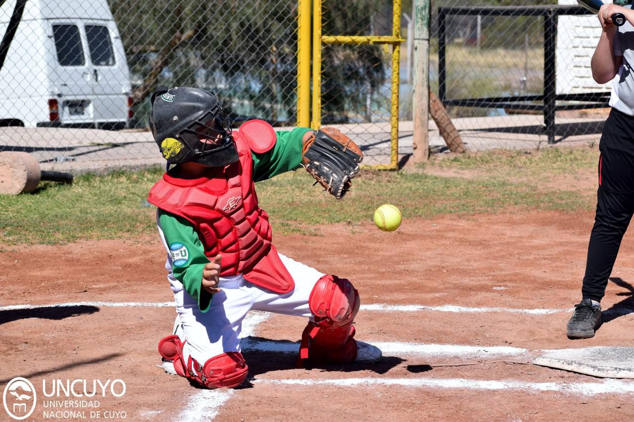 Softbol, Oficial intantil, Primavera masculino