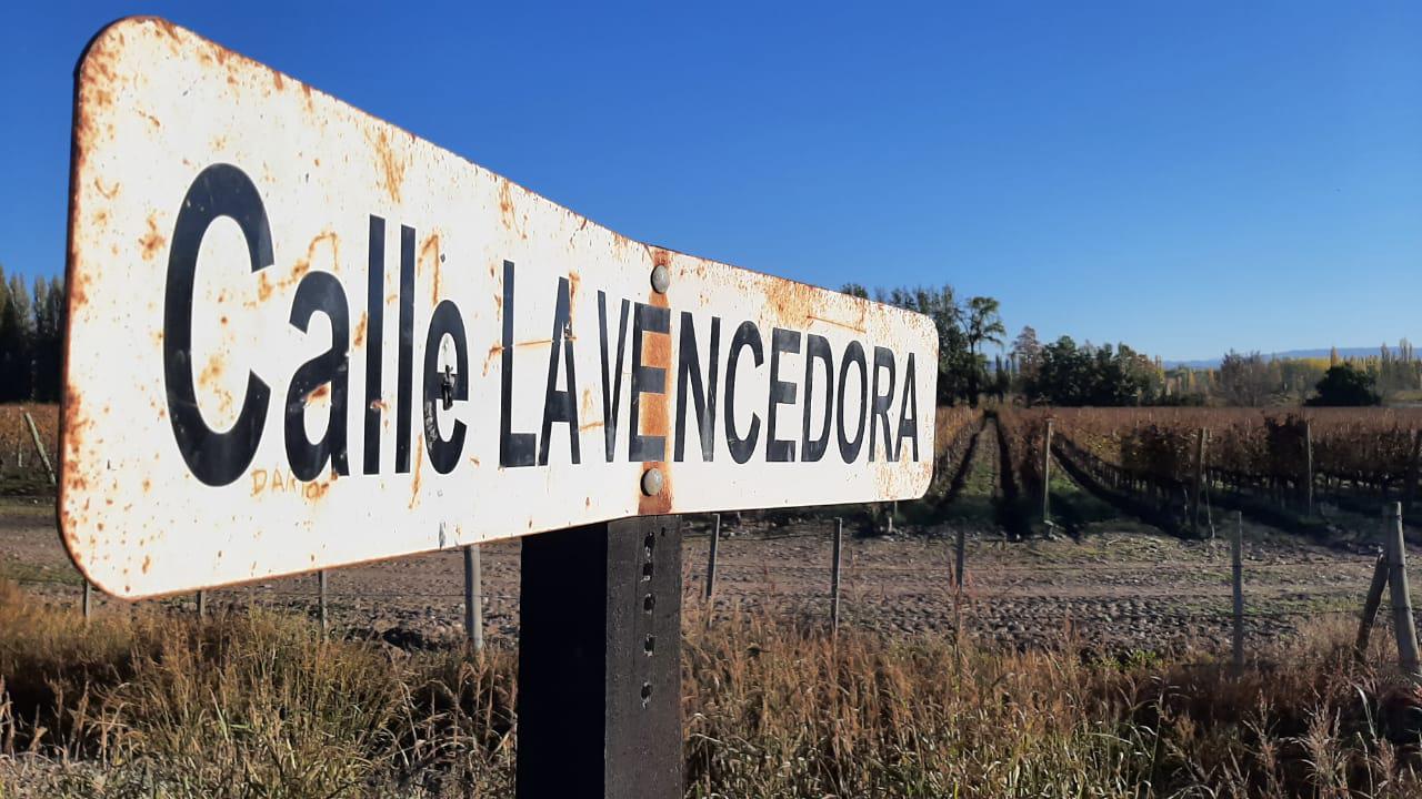 marisol tupungato acc