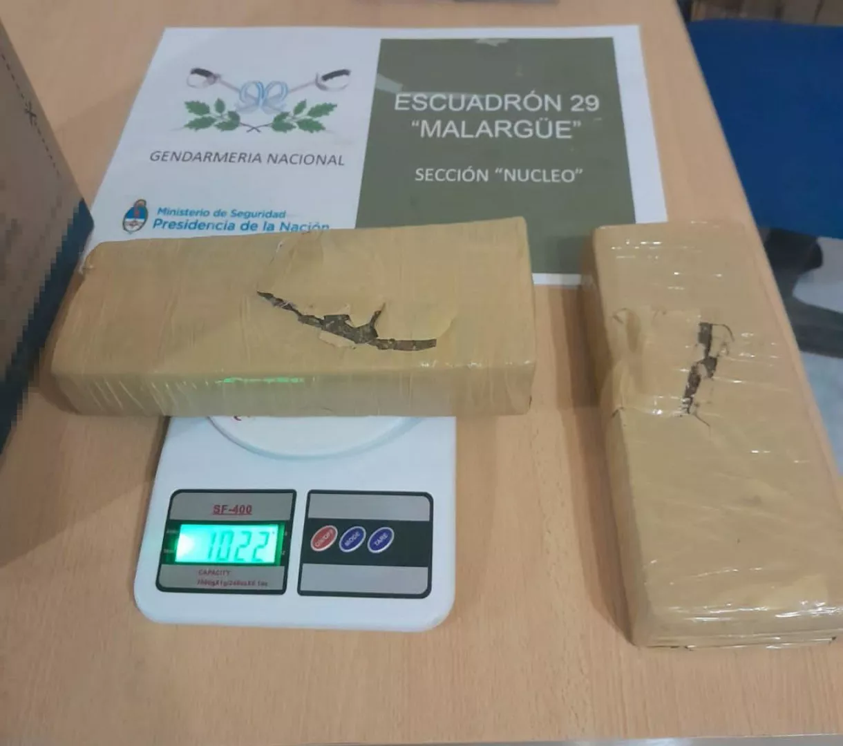 el_can_antinarcoticos_eko_detecto_marihuana_en_la_bodega_de_un_omnibus