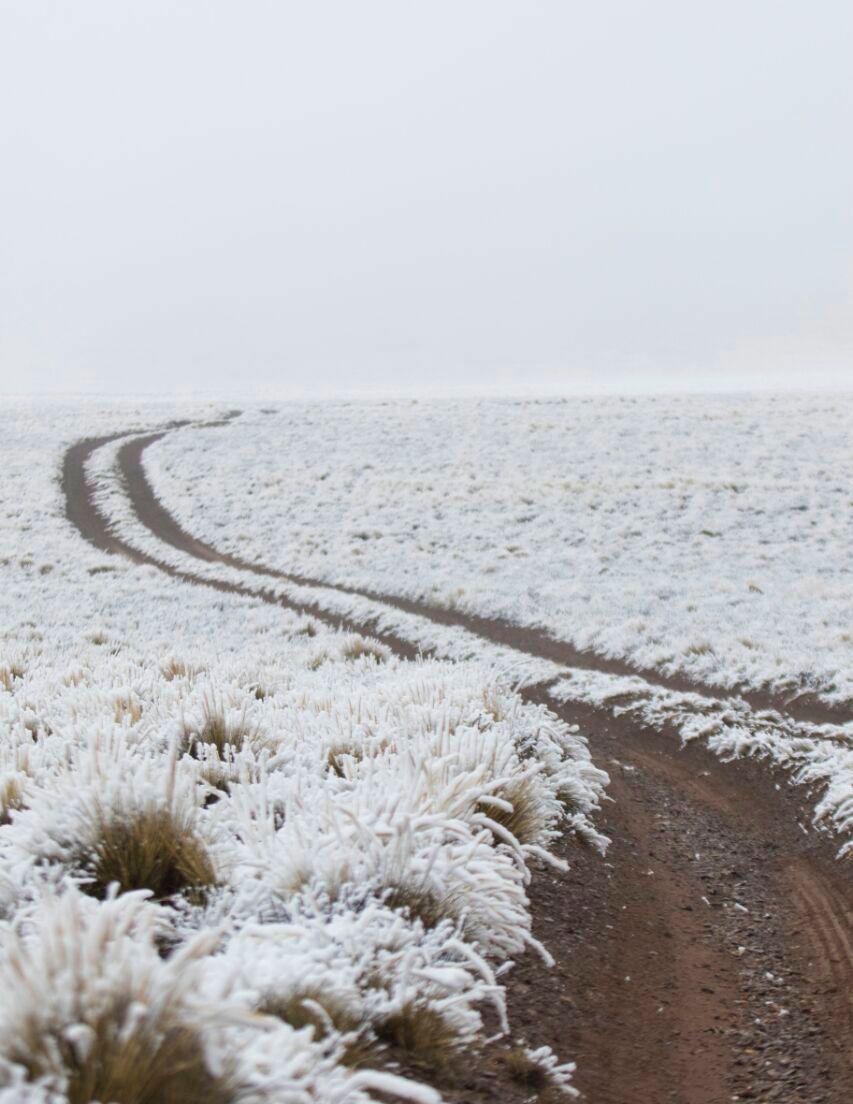 reserva villavicencio 2