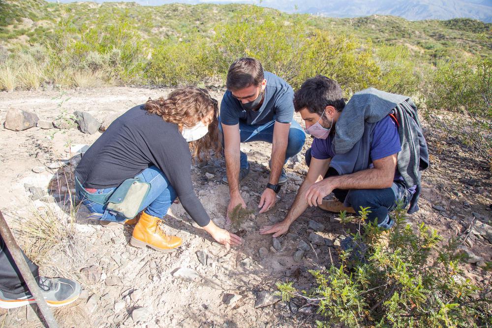 siembra semillas autoctonas 2