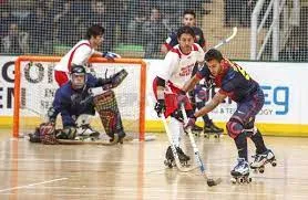 Hockey sobre patines, jornadas de tecnificación