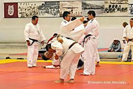 Artes marciales en clinicas deportivas