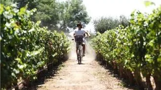 bici: maipu