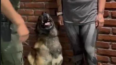 Mendoza 56,85 g cocaína2