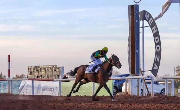 Turf, Santo Patroo Santiago, Code Breaker, 2025