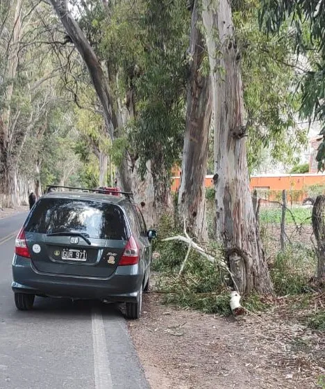 WhatsApp Image 2025-01-05 at 10.19.35 PM (1)