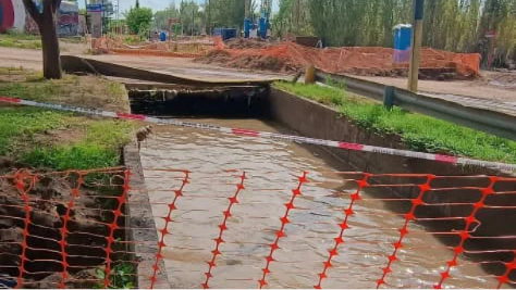 WhatsApp Image 2026-03-10 at 8.34.25 PM