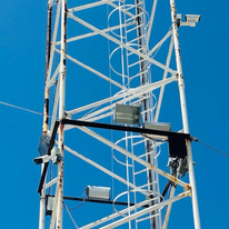 Gimnasia, medidas de seguridad en el estadio