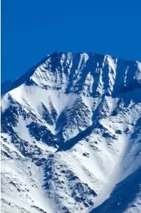 67ac95e8254b0__400x300 (1)