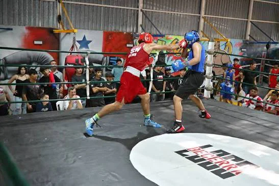 Boxeo, 7ma fecha, José María Gatica