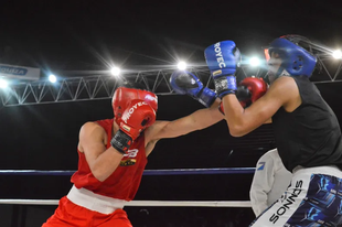 Boxeo, Torneo Vendimia