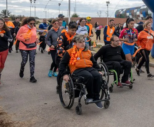 3dic-dia-discapacidad-3-500x412