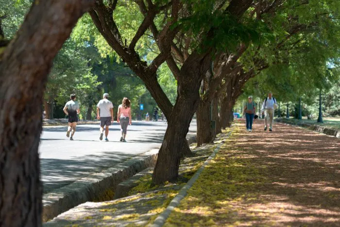 WhatsApp-Image-2025-07-30-at-2.45.24-PM-3-2-700x467