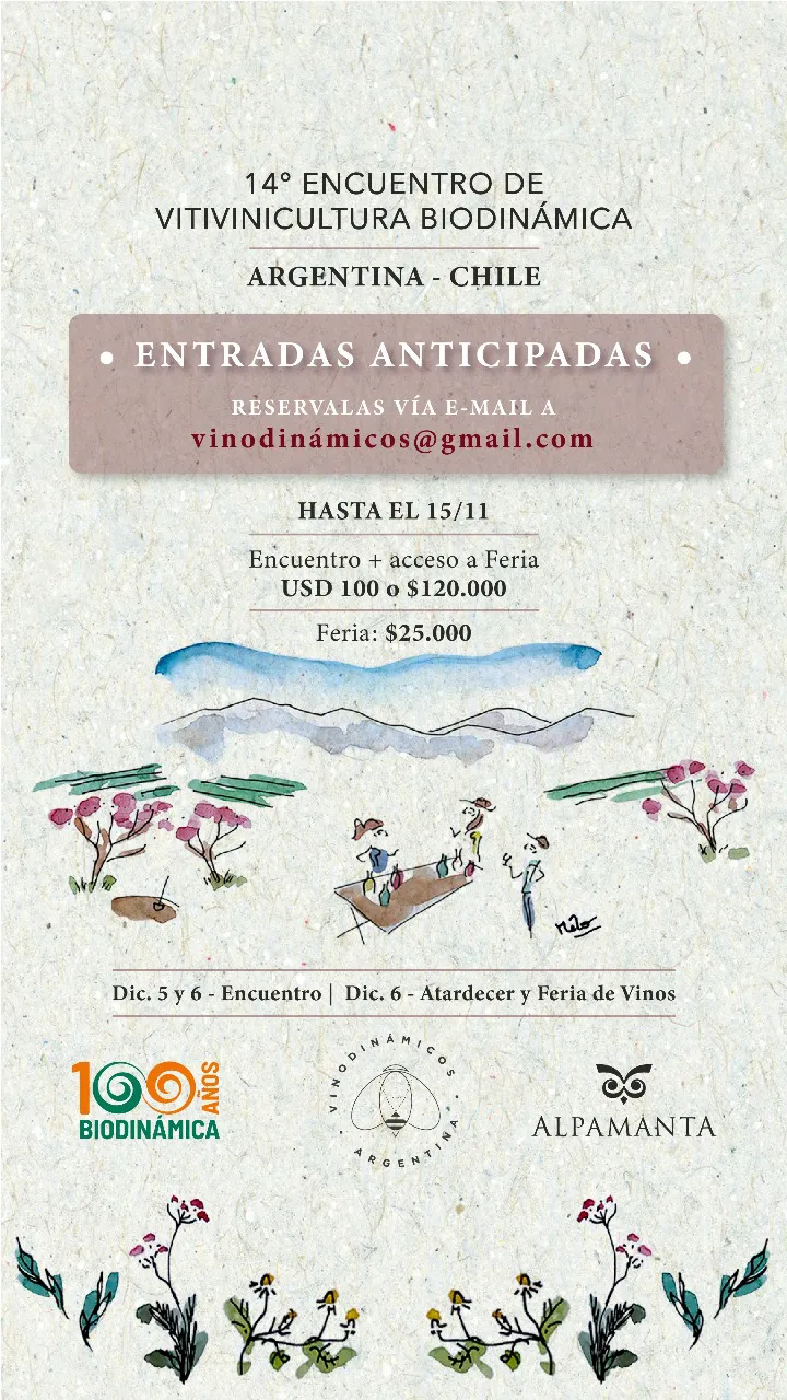 FLYER ANUNCIO