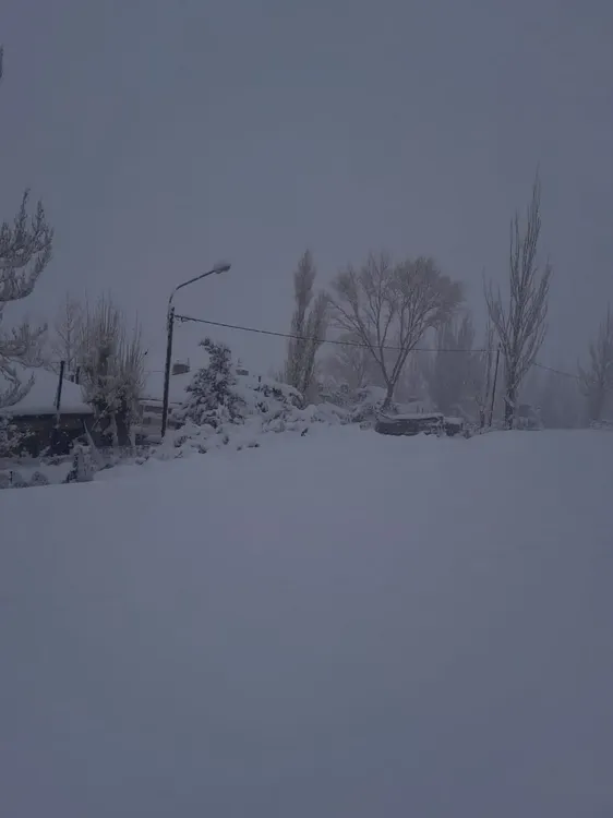 WhatsApp Image 2023-08-19 at 13.27.30 (1)