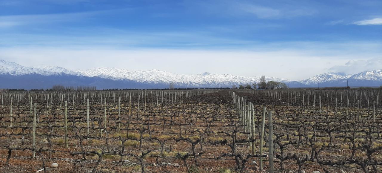 WhatsApp Image 2021-08-28 at 14.53.50 (1)