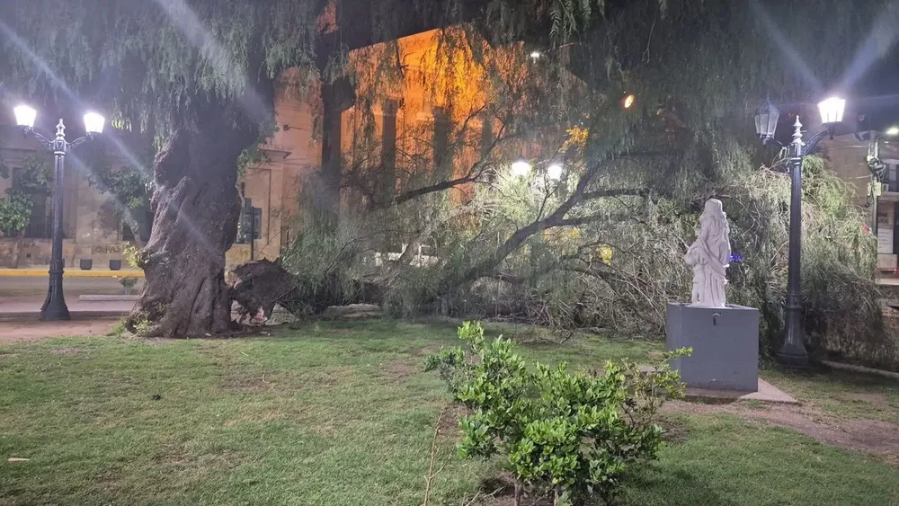 WhatsApp Image 2025-11-30 at 10.49.24 AM